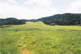 Kesäistä karjalaismaisemaa Pitkäjärven lähellä.